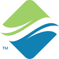 LS Networks Logo